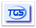 TGS LOGO